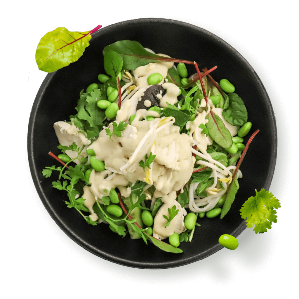 Tokyo Classic Salad Tofu Banana Blossom Eats Bible