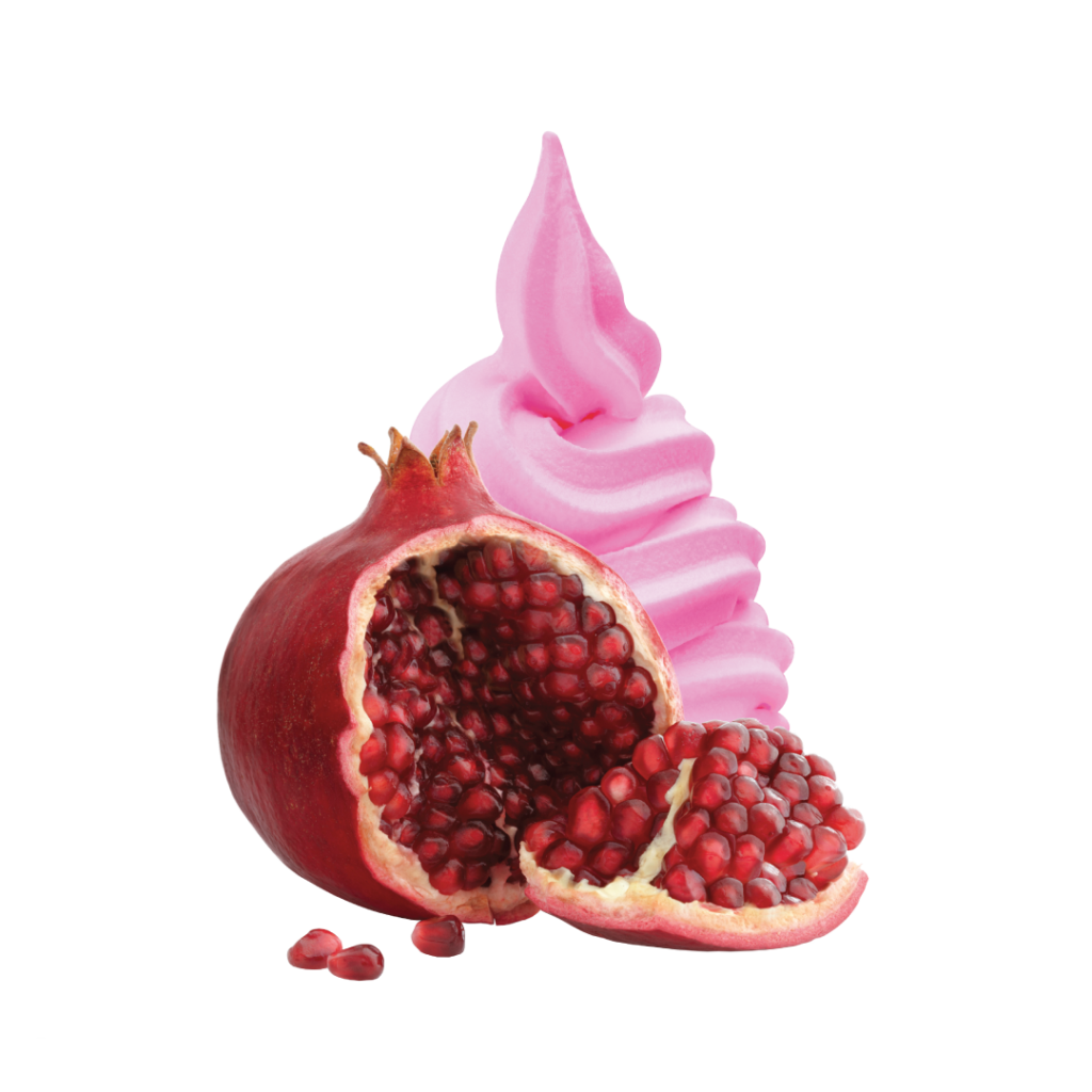 Oreo Frozen Yoghurt (Yogurberry) Eats Bible